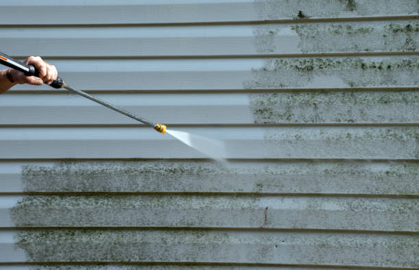 Best Mold Remediation for Specific Building Types in Frankston, TX