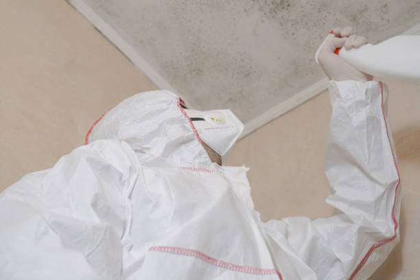 Best Mold Remediation for Schools in Frankston, TX